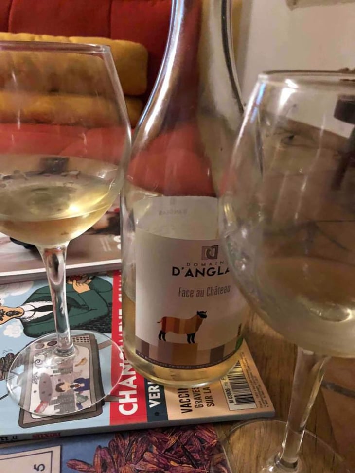Face Au Chateau - Domaine D’Anglas - Carole & Roger Gaussorgues 