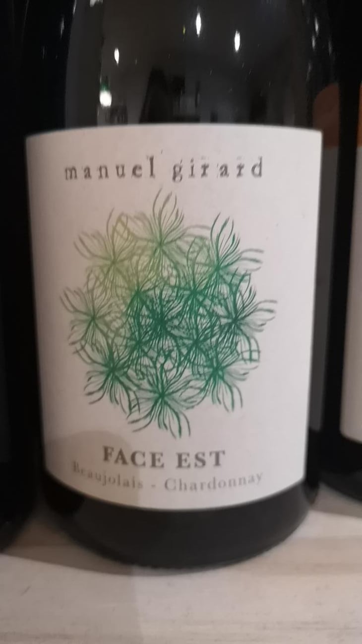 Face Est - Manuel Girard - Manuel Girard 