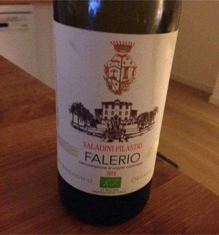 Falerio - Saladini Pilastri - Saladini Pilastri 