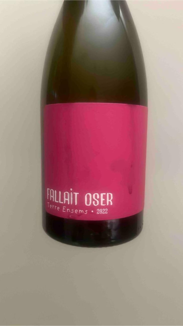 Fallait Oser - Terre Ensems - Krystel Costes & Michel Bouisseren 
