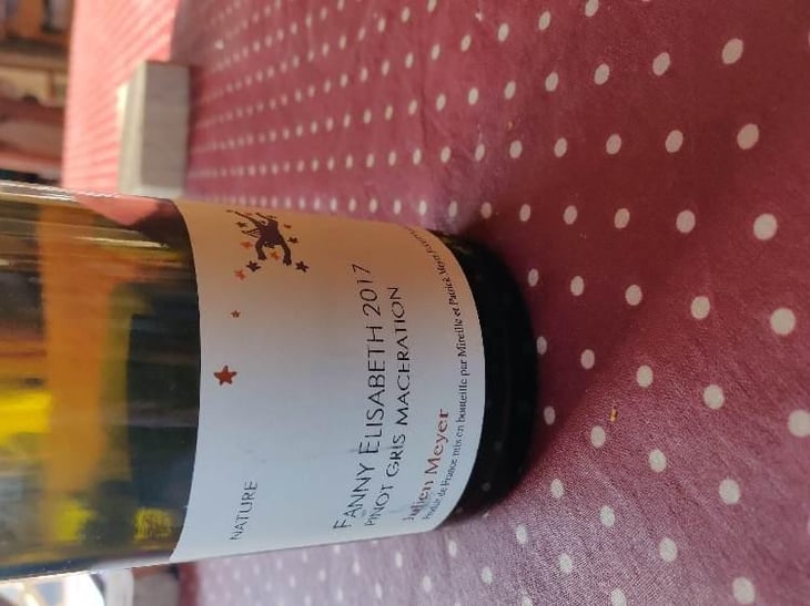 Fanny Elisabeth - Pinot Gris macération - Domaine Julien Meyer - Patrick Meyer 