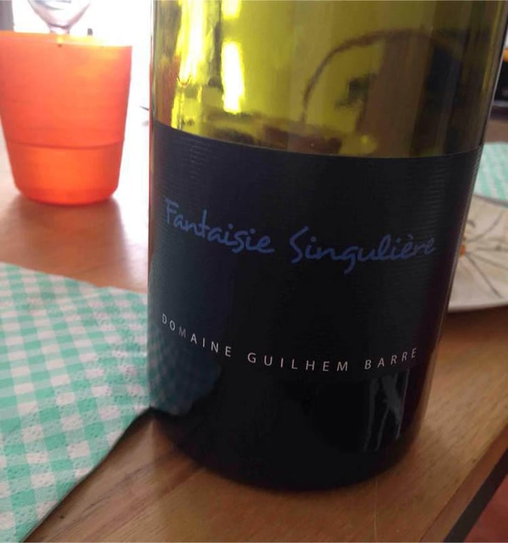 Fantaisie Singulière - Guilhem Barré - Guilhem Barré 
