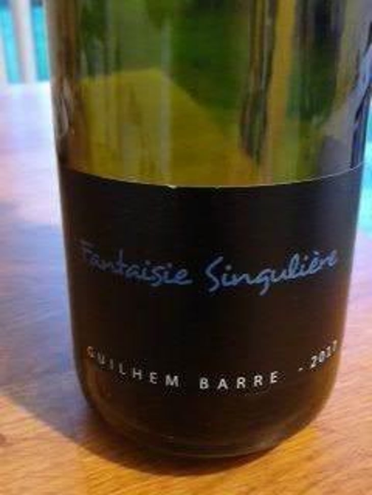 Fantaisie Singulière - Guilhem Barré - Guilhem Barré 