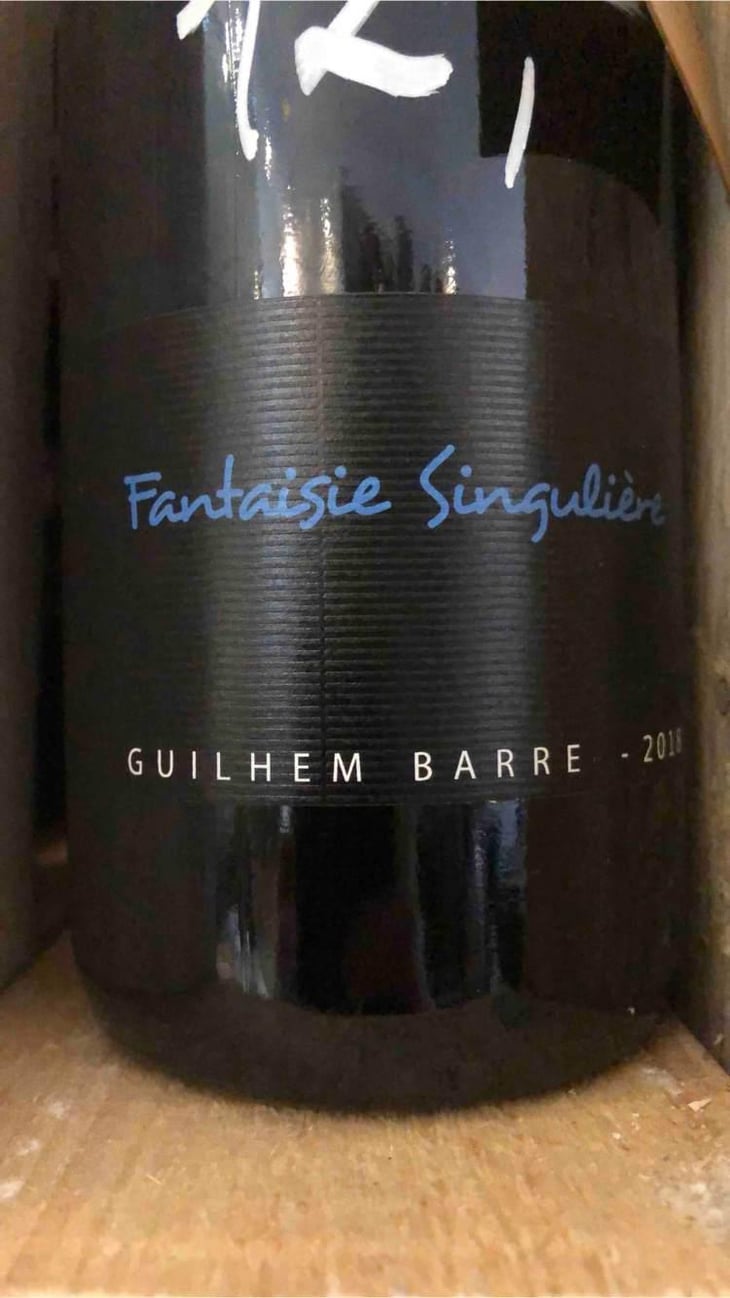Fantaisie Singulière - Guilhem Barré - Guilhem Barré 
