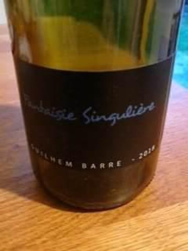 Fantaisie Singulière - Guilhem Barré - Guilhem Barré 