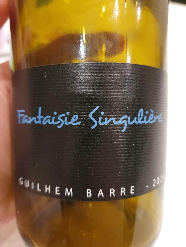 Fantaisie Singulière - Guilhem Barré - Guilhem Barré 