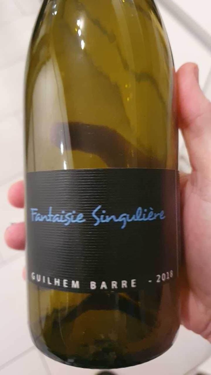 Fantaisie Singulière - Guilhem Barré - Guilhem Barré 