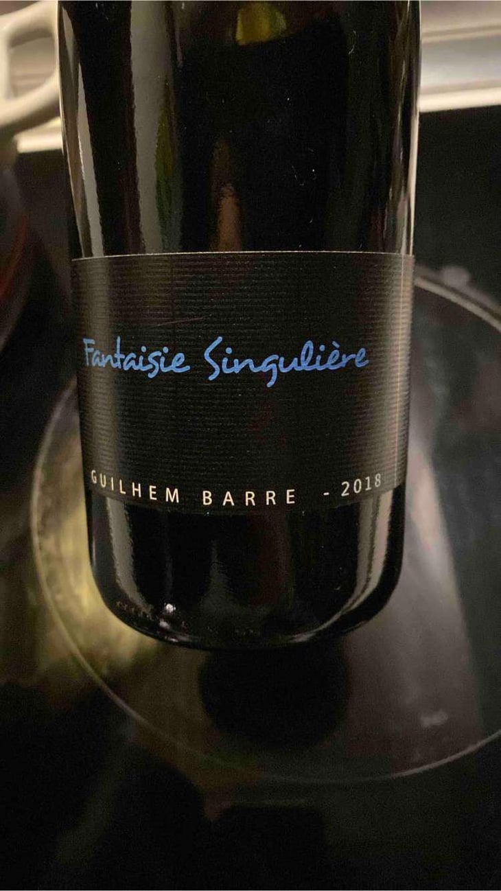Fantaisie Singulière - Guilhem Barré - Guilhem Barré 
