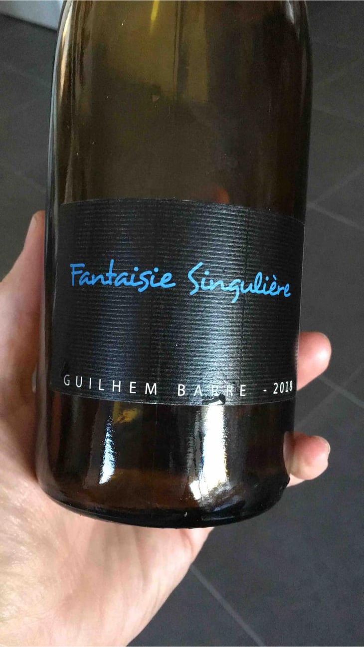 Fantaisie Singulière - Guilhem Barré - Guilhem Barré 