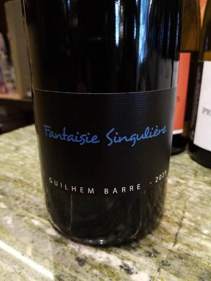 Fantaisie Singulière - Guilhem Barré - Guilhem Barré 