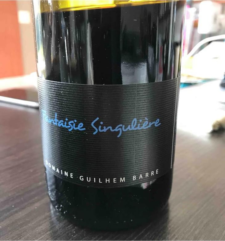 Fantaisie Singulière - Guilhem Barré - Guilhem Barré 