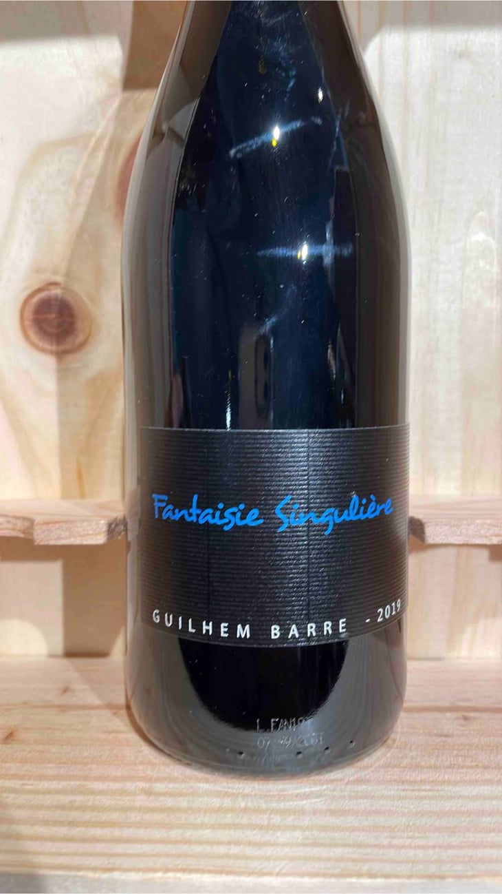Fantaisie Singulière - Guilhem Barré - Guilhem Barré 