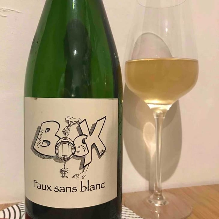 Faux Sans Blanc - Sylvain Bock - Sylvain Bock 