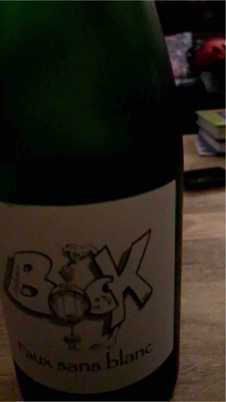 Faux Sans Blanc - Sylvain Bock - Sylvain Bock 