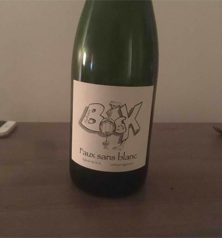 Faux Sans Blanc - Sylvain Bock - Sylvain Bock 