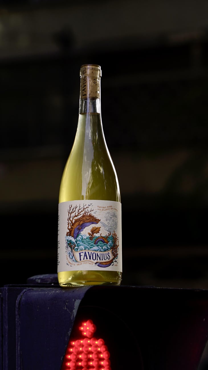 Favonius Orange - Authentic Wines - Pedro Cabanita & Rodrigo Martins -2022
