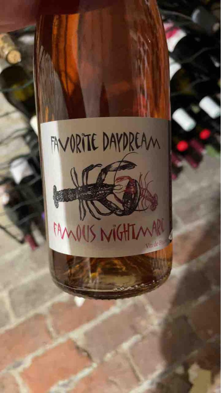 Favorite Daydream Famous Nightmare - Domaine Léonine - Jordan Le Guyader -2021