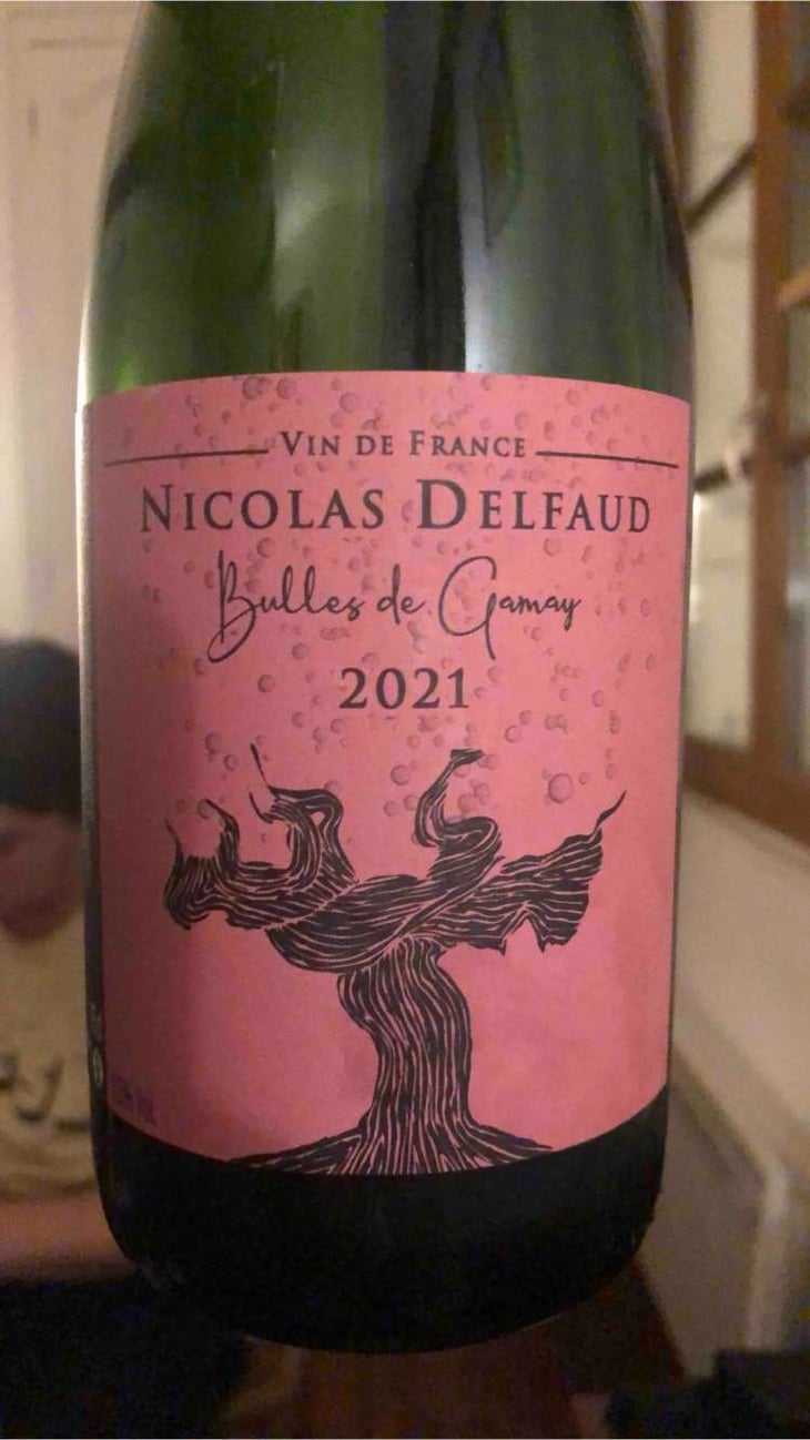 Bulles de Gamay - Domaine Nicolas Delfaud - Nicolas Delfaud -2023