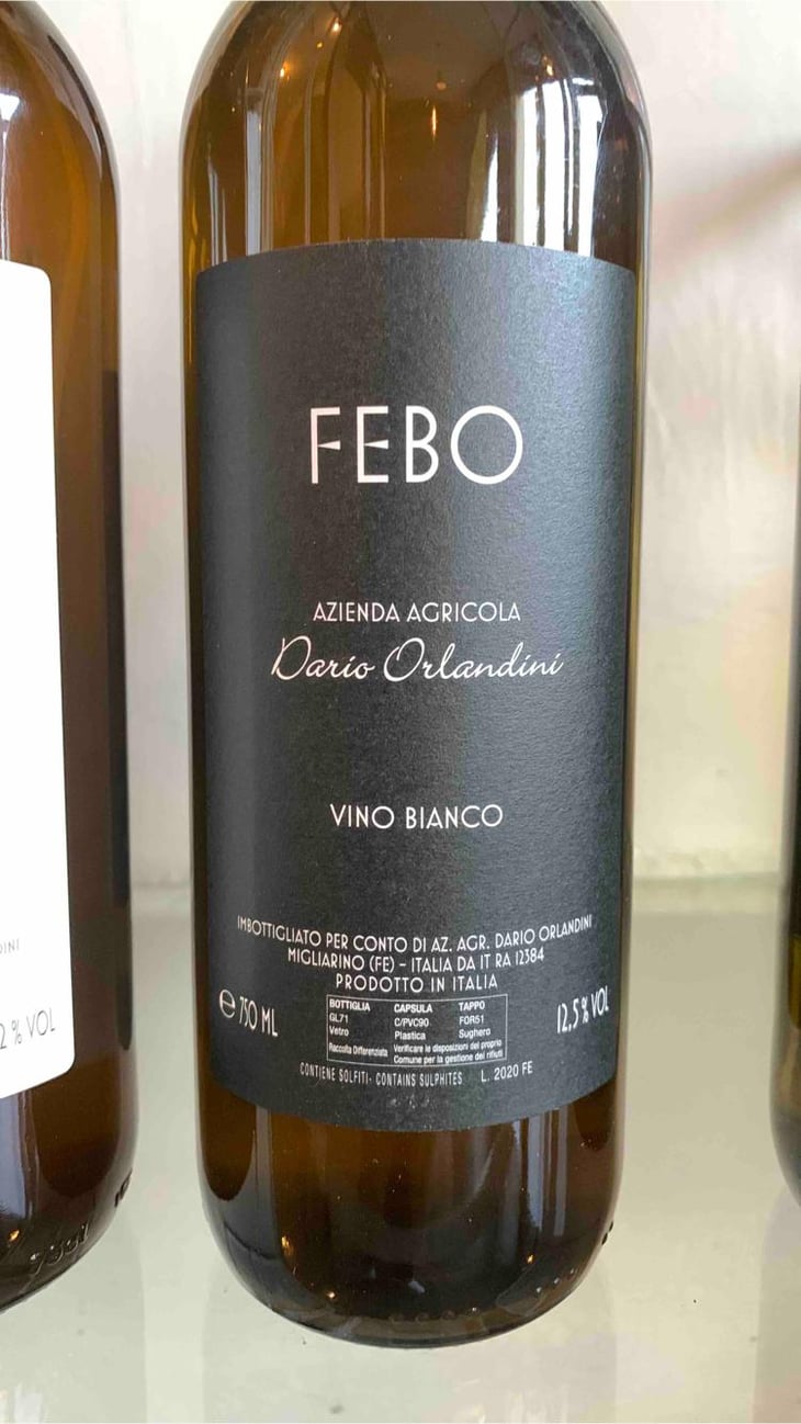 Febo - Azienda Agricola Dario Orlandini - Dario Orlandini 