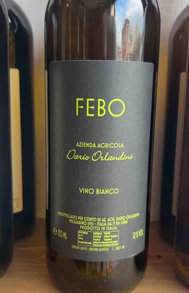 Febo - Azienda Agricola Dario Orlandini - Dario Orlandini 