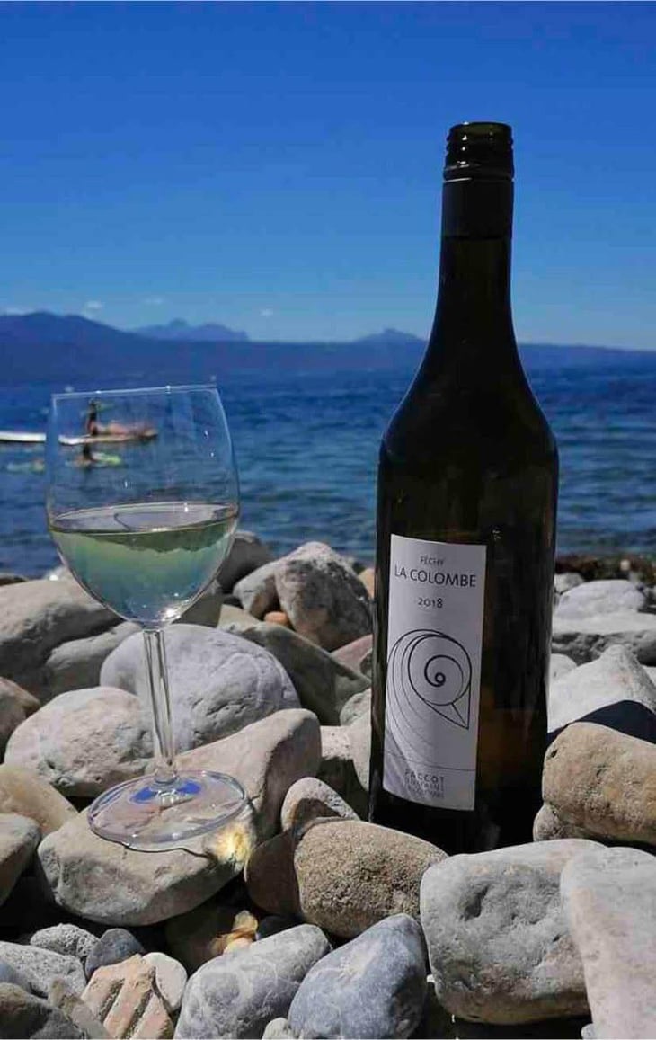 Féchy - Domaine La Colombe - Raymond, Violaine & Laura Paccot 