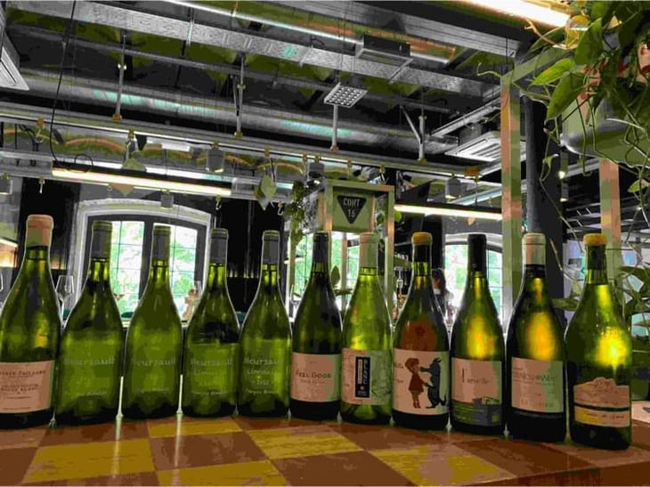 Feel Good - Domaine de Chassorney - Frédéric Cossard -2018
