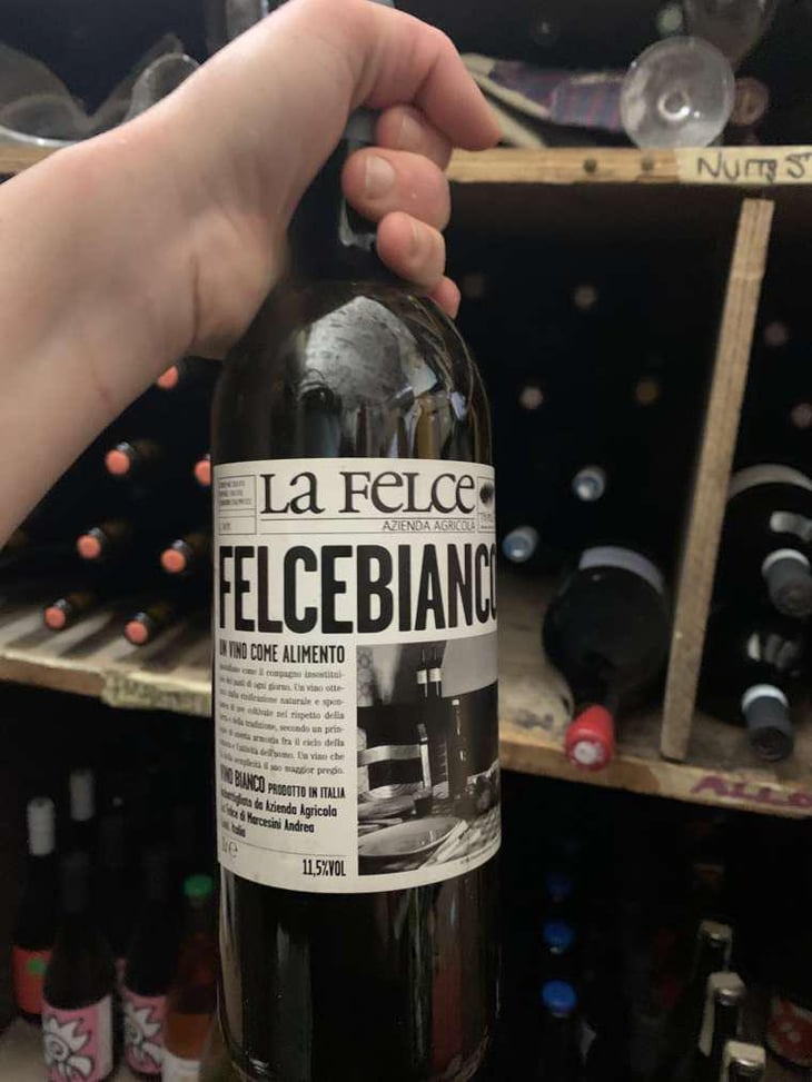 Felce Bianco - Le Felce - Andrea Marcesini 