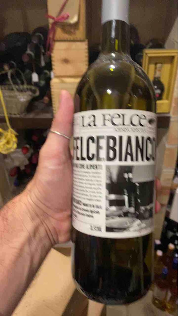 Felce Bianco - Le Felce - Andrea Marcesini 