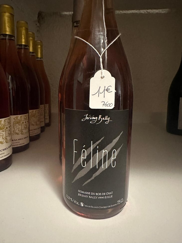 Féline - Domaine du Bois du Chat - Jérémy Bailly -2021