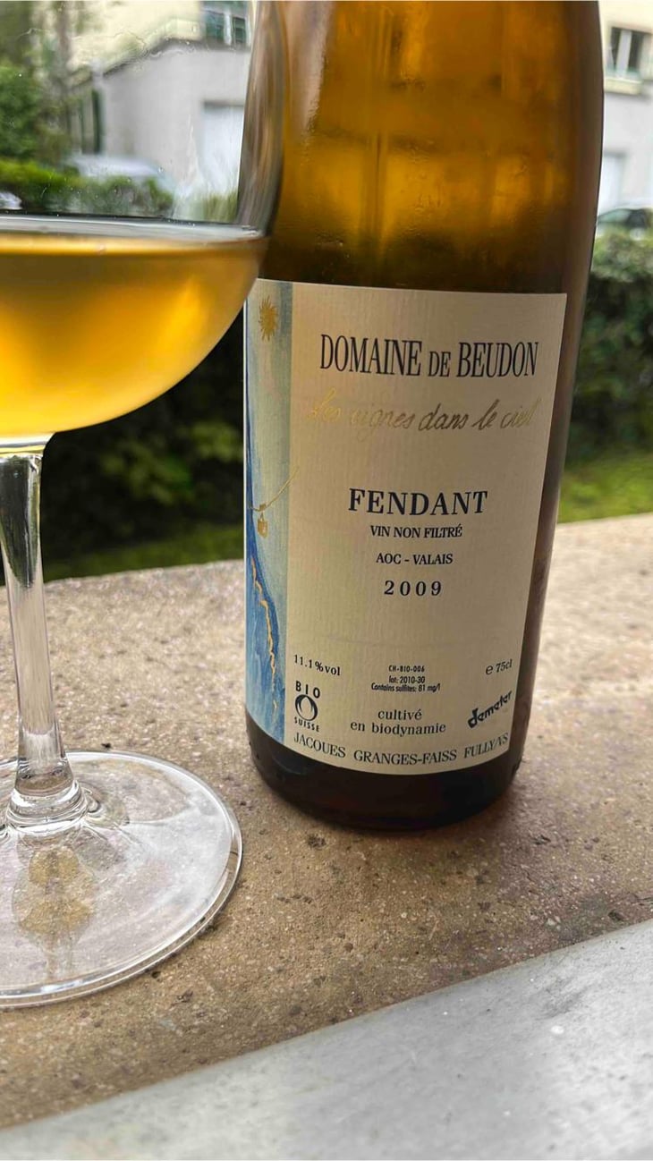 Fendant - Domaine de Beudon - Marion Granges-Fayss 