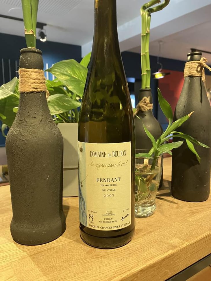 Fendant - Domaine de Beudon - Marion Granges-Fayss 