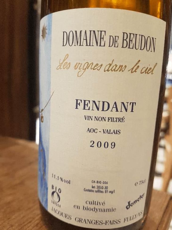 Fendant - Domaine de Beudon - Marion Granges-Fayss 