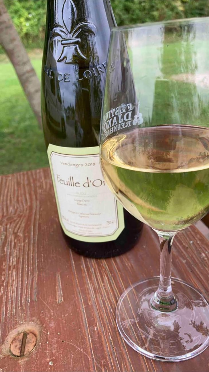 Feuille d’or - Domaine Orts (Ex Domaine Delesvaux) - Philippe & Catherine Delesvaux 
