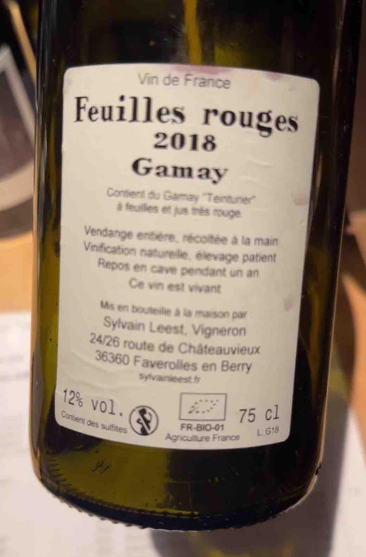 Feuilles Rouges - Sylvain Leest - Sylvain Leest 