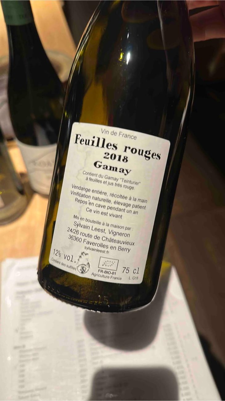 Feuilles Rouges - Sylvain Leest - Sylvain Leest 