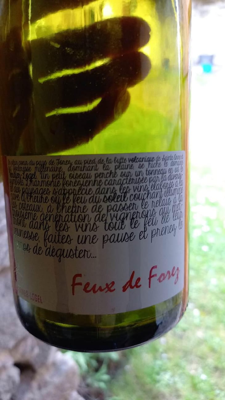 Feux de Forez - Cave Verdier-Logel - Maxime Gillier, Jacky ,Julie & Odile Logel 