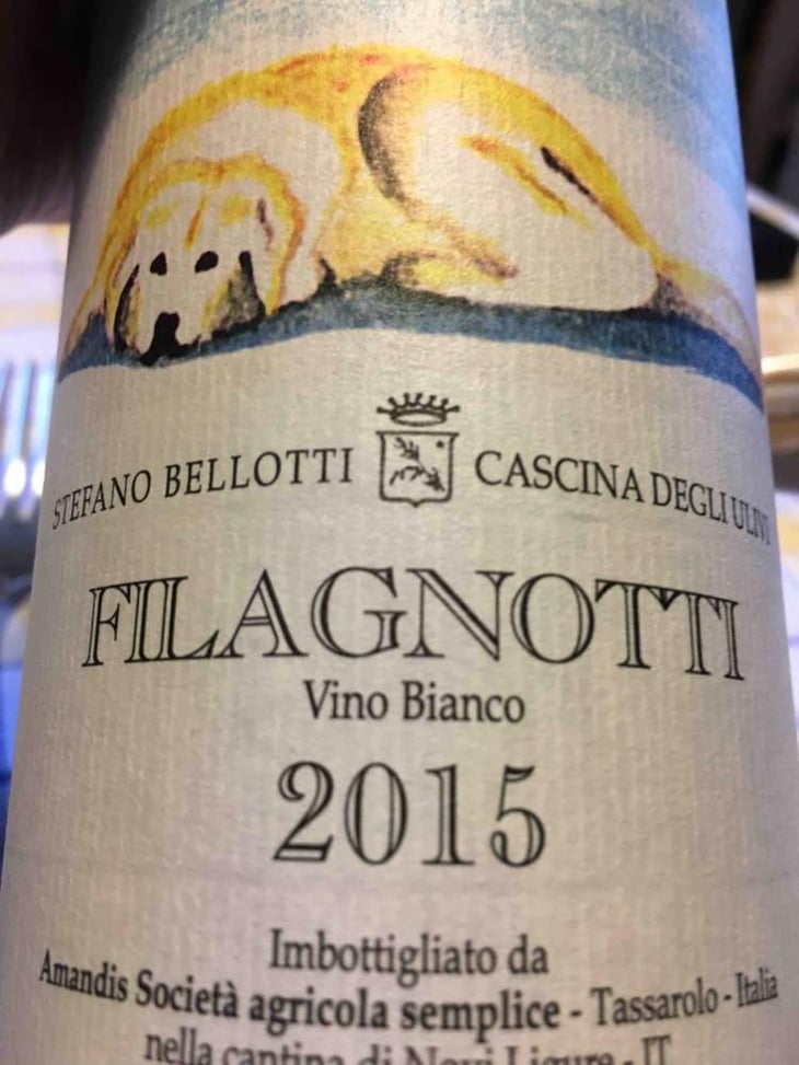Filagnotti - Cascina degli Ulivi - Ilaria Bellotti 