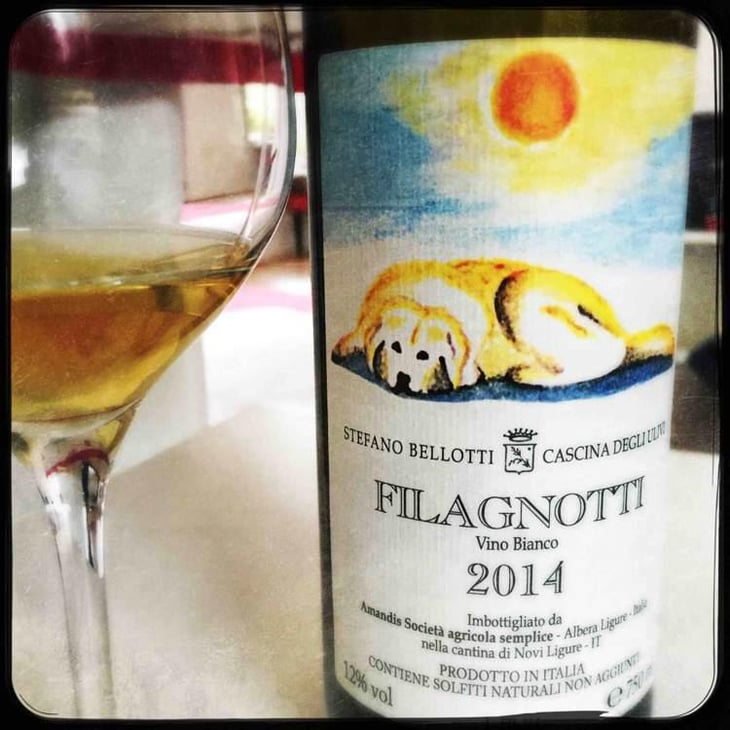 Filagnotti - Cascina degli Ulivi - Ilaria Bellotti 