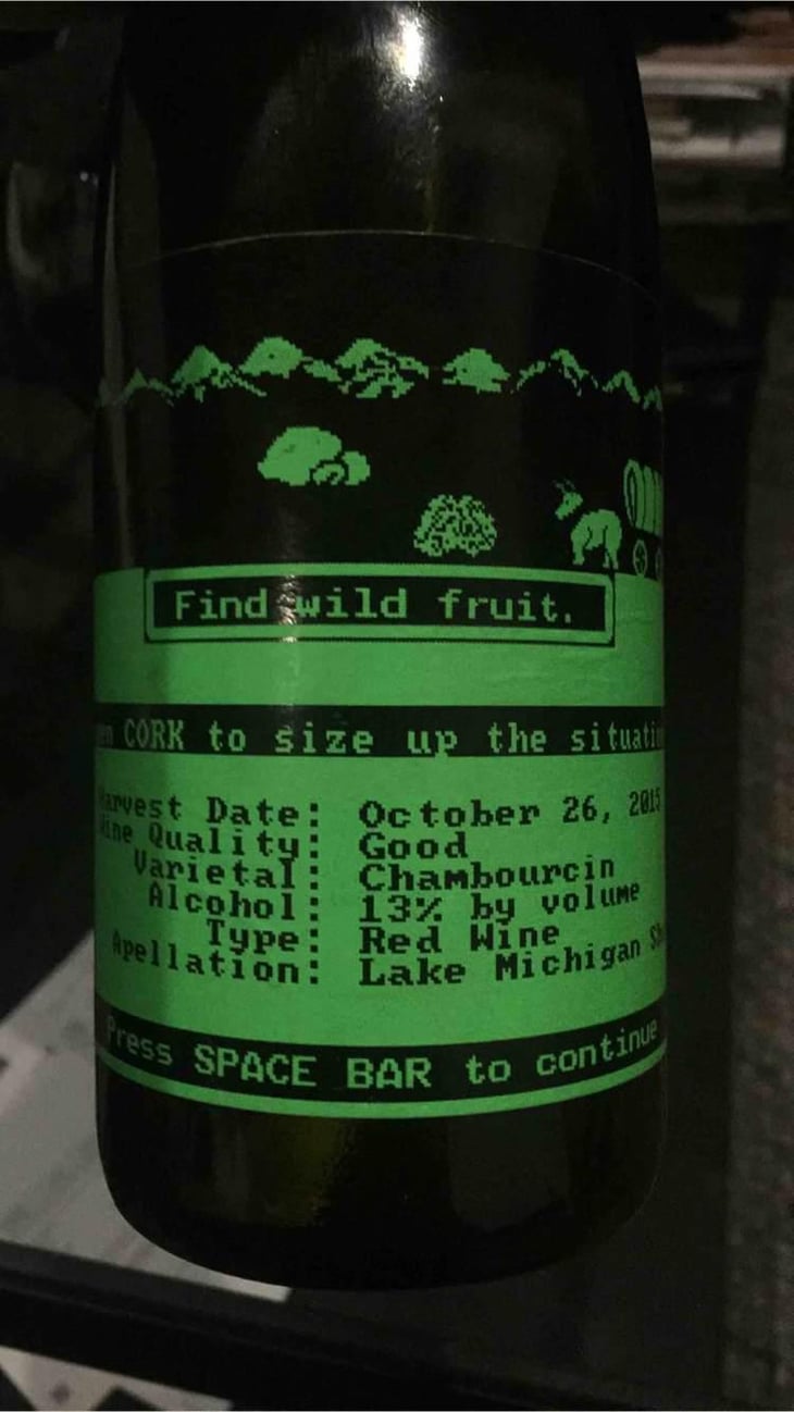 Find Wild Fruit - Lake Michigan - Nathaniel Rose 