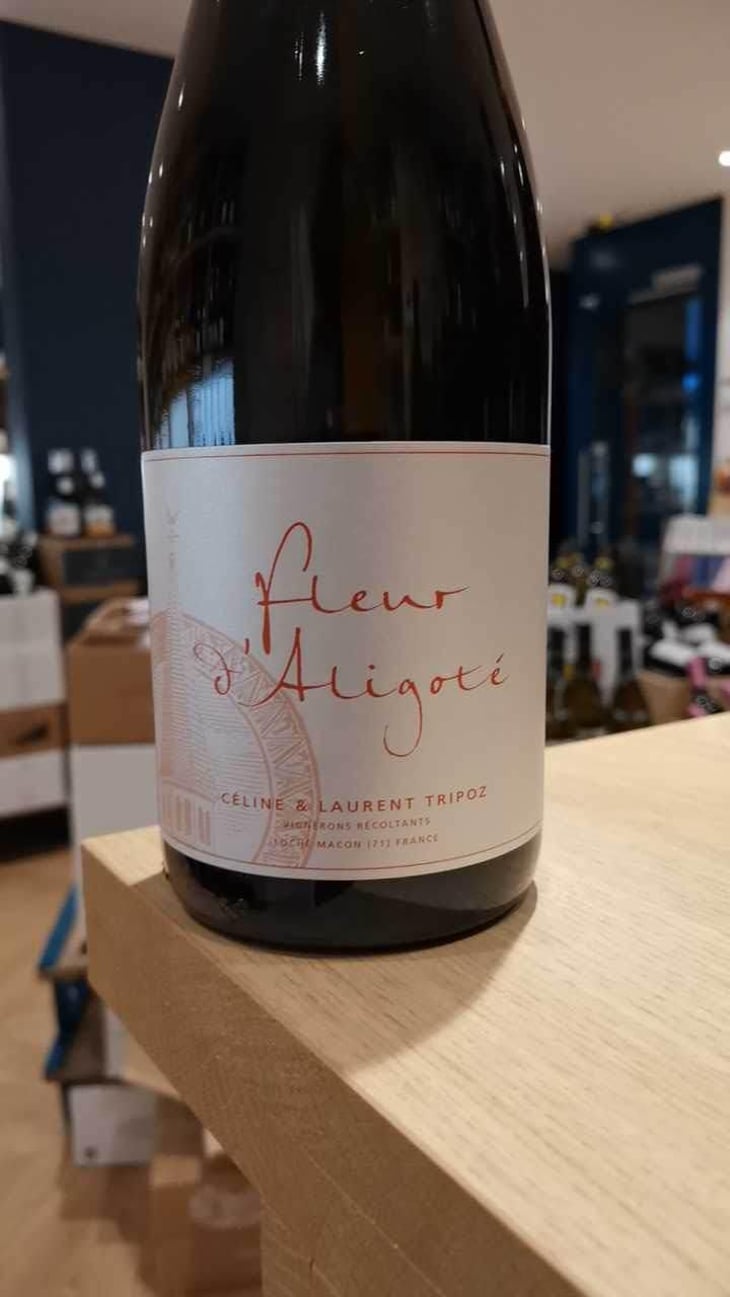 Fleur D'Aligoté - Domaine Tripoz - Céline & Laurent Tripoz 