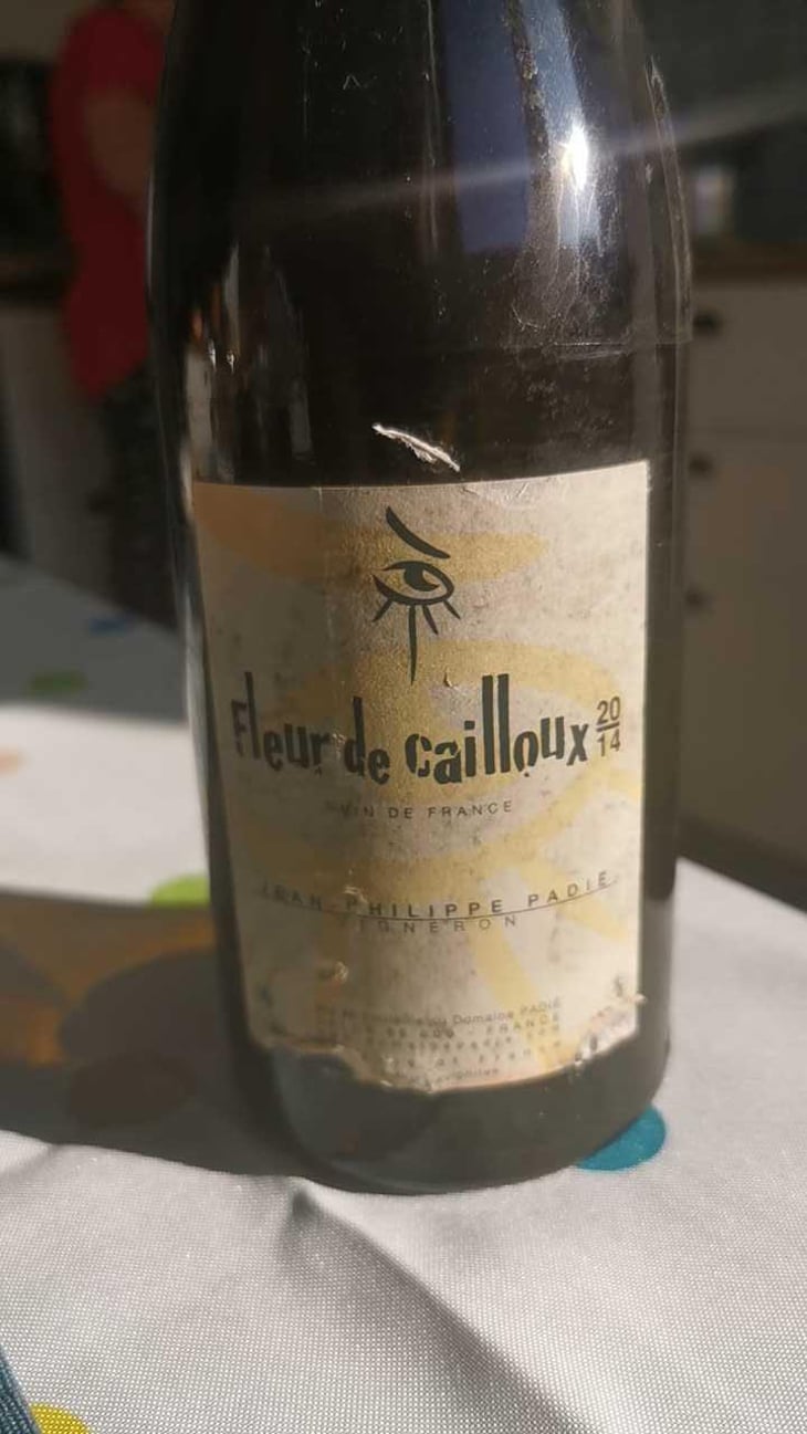 Fleur De Cailloux - Domaine Jean-Philippe Padié - Jean-Philippe Padié 