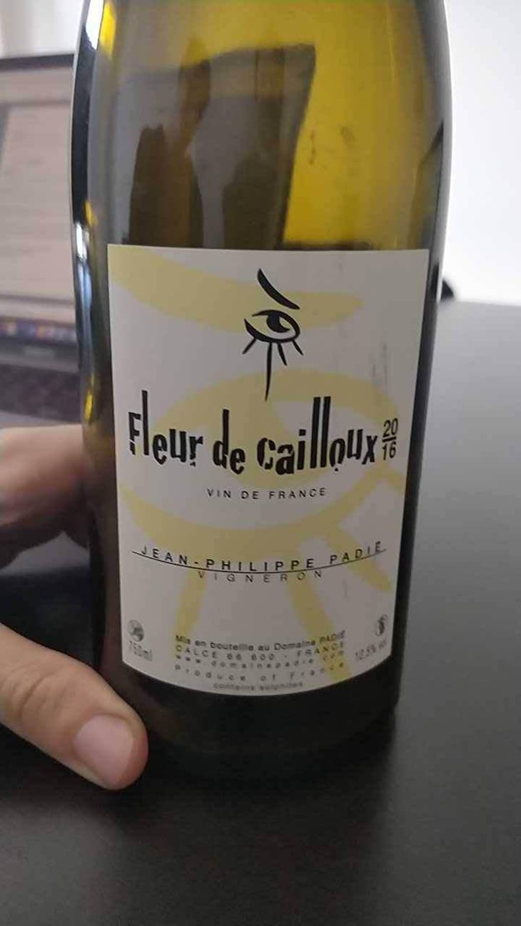 Fleur De Cailloux - Domaine Jean-Philippe Padié - Jean-Philippe Padié 