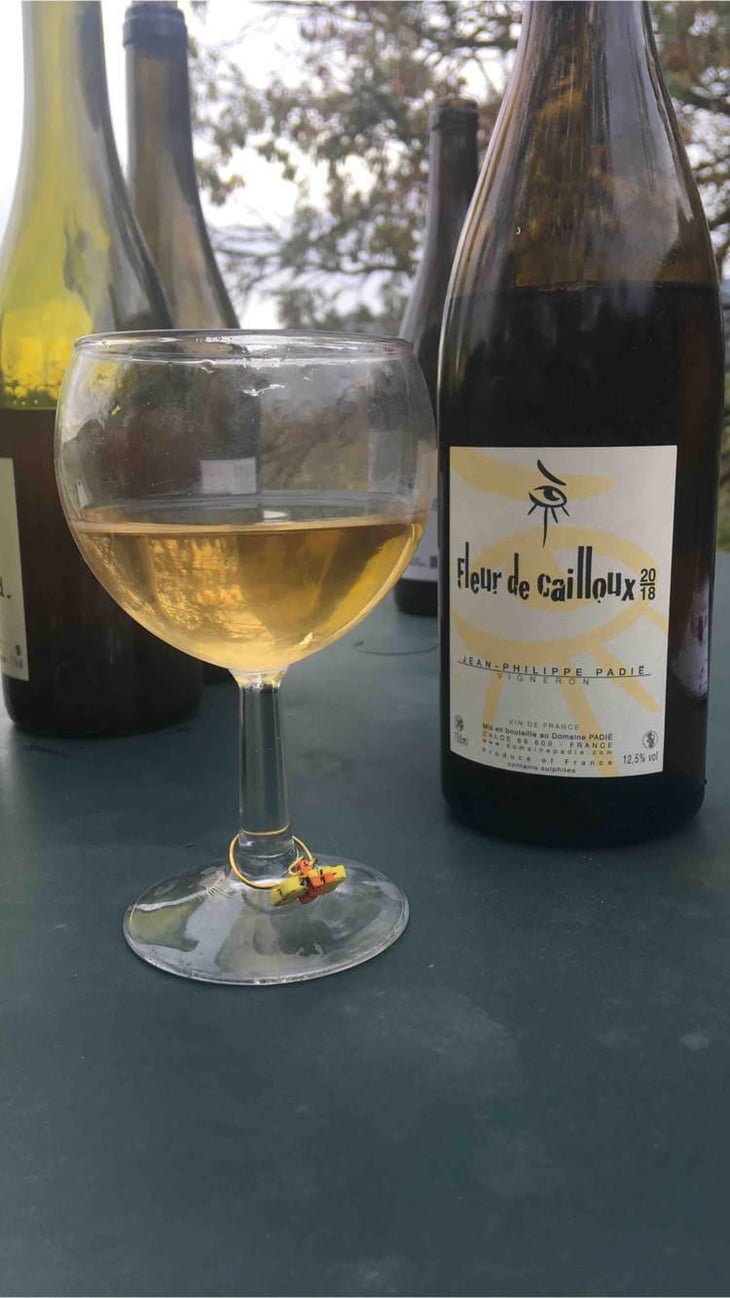 Fleur De Cailloux - Domaine Jean-Philippe Padié - Jean-Philippe Padié 