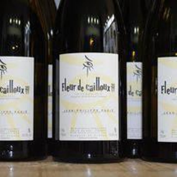 Fleur De Cailloux - Domaine Jean-Philippe Padié - Jean-Philippe Padié 