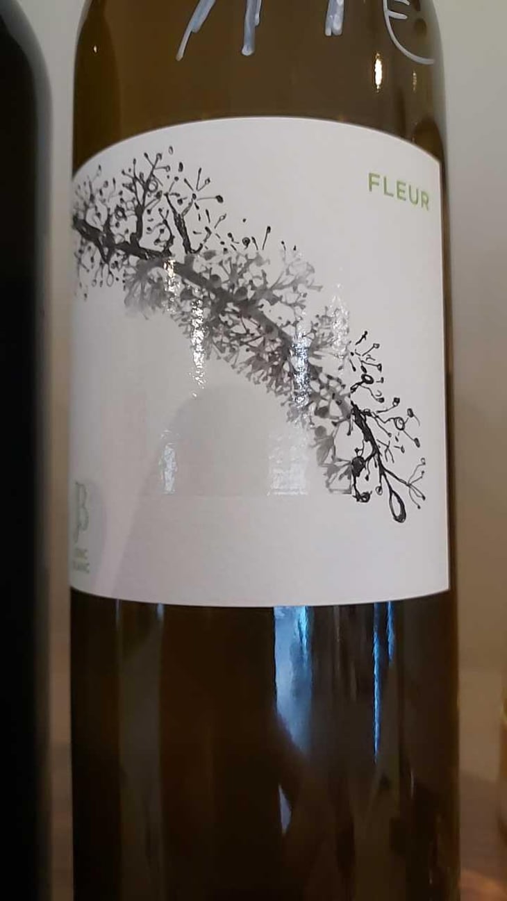 Fleur - Le Jonc Blanc - Isabelle Carles & Franck Pascal 