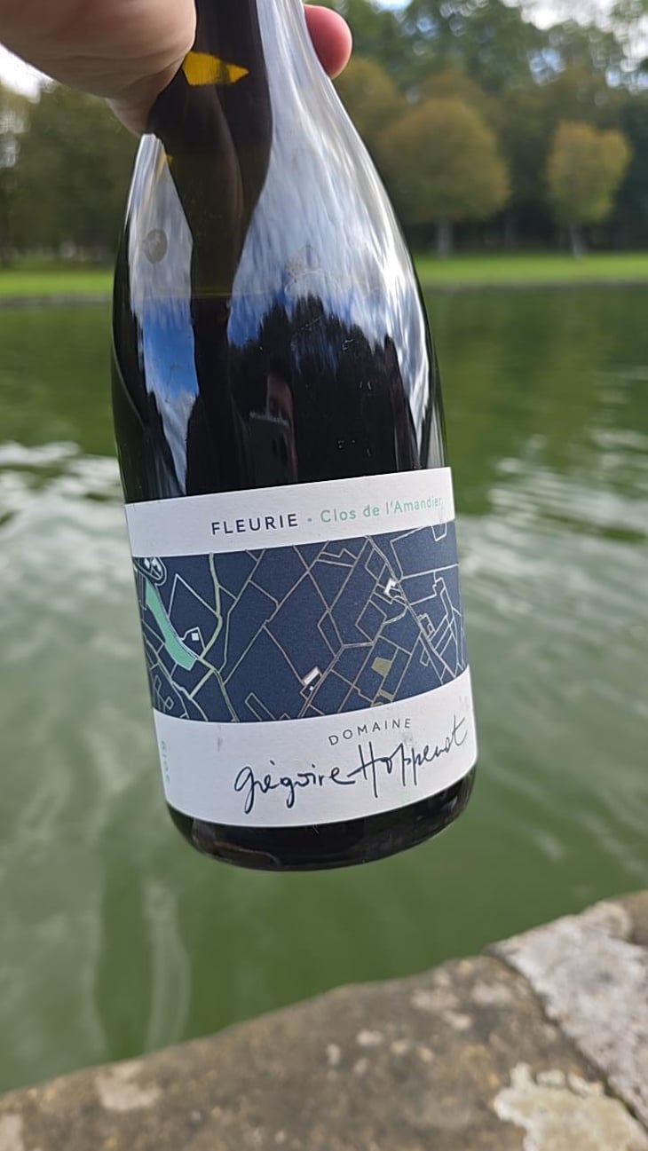 Fleurie Clos De L’Amandier - Fleurie - Gregoire Hoppenot 