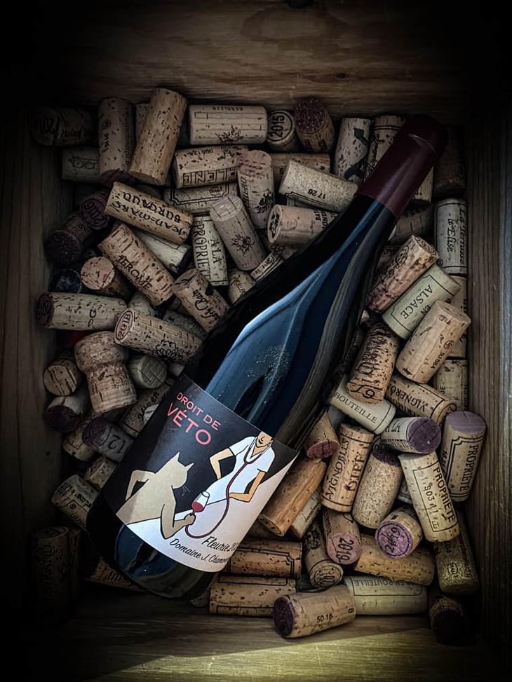 Fleurie Droit de véto - Domaine Chamonard - Jean-Claude, Jeanne & Geneviève Chanudet 