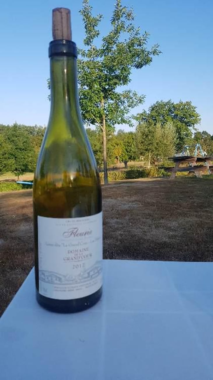 Fleurie Lieux-Dits La Grand' Cour, Les Déduits - Domaine de la Grand'Cour - Jean-Louis Dutraive 