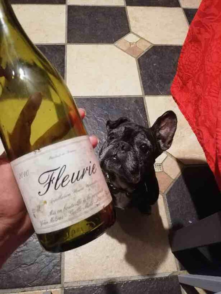 Fleurie - Domaine Métras - Yvon Métras 