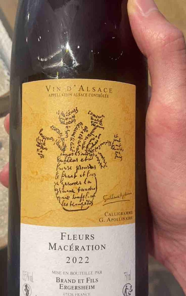 Fleurs - Domaine Brand & Fils - Philippe Brand 
